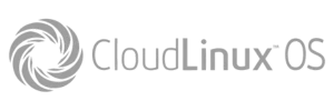Cloudlinux on our Litespeed severs ensures high resources available for your website and email hosting