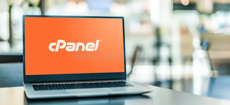 Best South African cpanel Web Hosting - Professional Email for Businesses in South Africa - Litespeed Webhosting with Cpanel Control